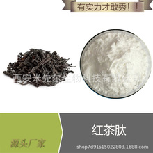 红茶菌肽99% 小分子肽 红茶菌提取物 现货供应 厂家