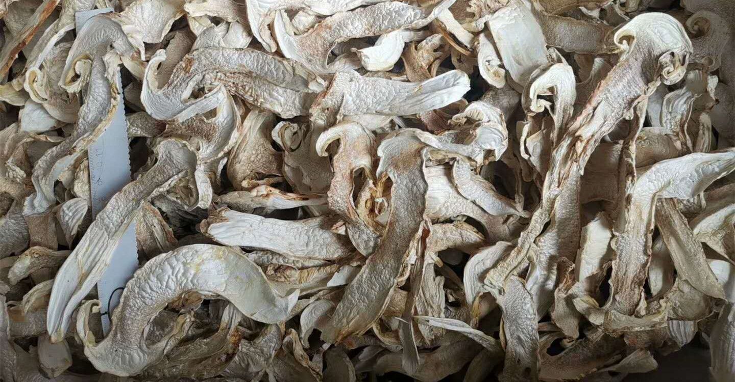 云南野生松茸干片2斤 香格里拉松茸干货山货 蘑菇煲汤汤料食材