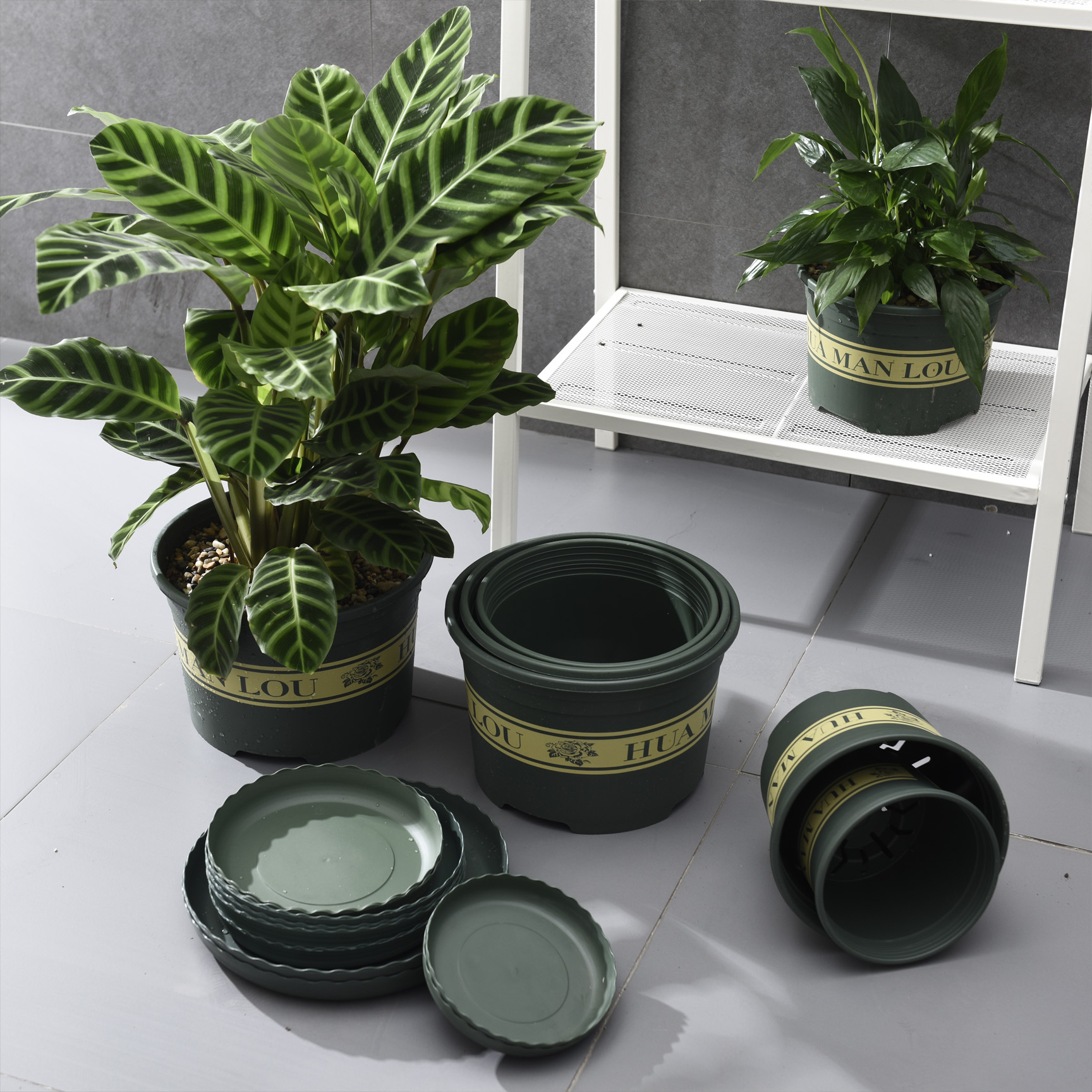 批发4号矮胖加仑军绿印花加仑盆 月季茉莉草莓铁线莲花盆(托另拍)