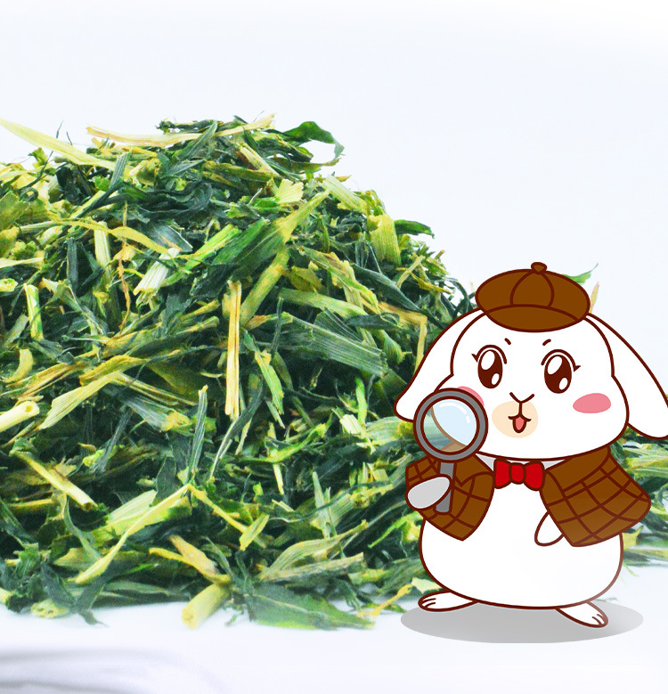 大麦草段干草400g荷兰猪天竺鼠兔兔龙猫荷兰猪牧草大麦草兔子