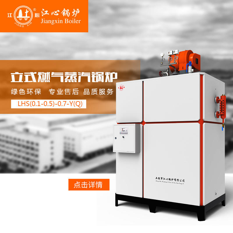 江心锅炉立式全自动天燃气燃油燃气锅炉液化气热水蒸汽发生器锅炉