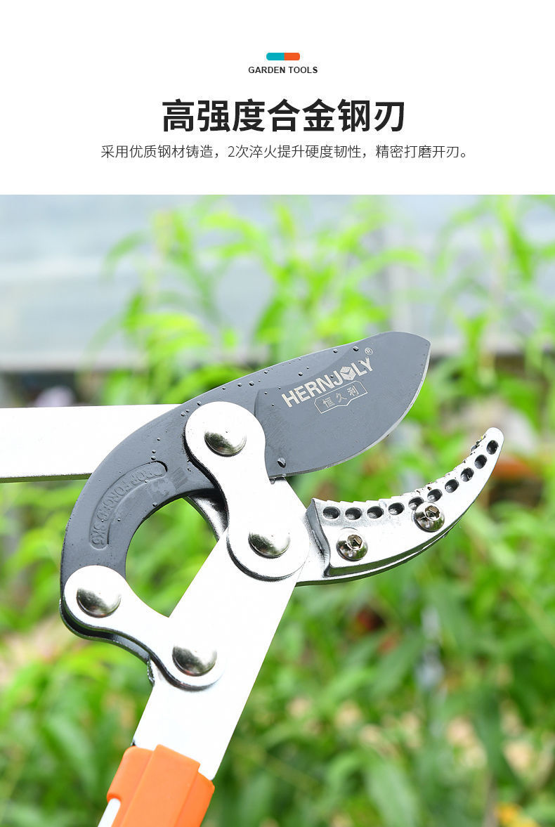 修剪树枝剪刀粗枝剪伸缩园林果树大力工具摘水果大修枝剪