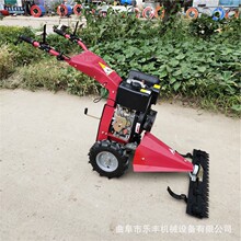 农用果园剪草机 小型多功能汽油170型号剪草机 割草机型号