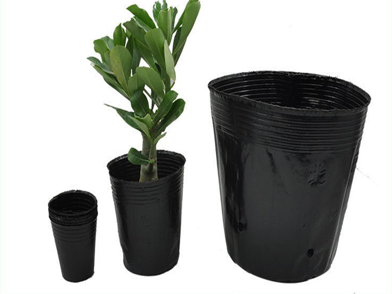 营养钵育苗盆一次性花盆塑料种植穴盘营养杯育苗袋装土育苗杯