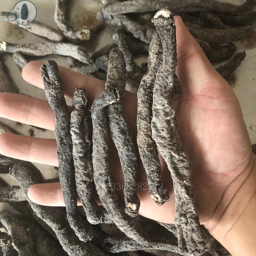 花蛇参海洋淡干带刺血蛇参黑参500克 海参干货批发酒店酒席食材