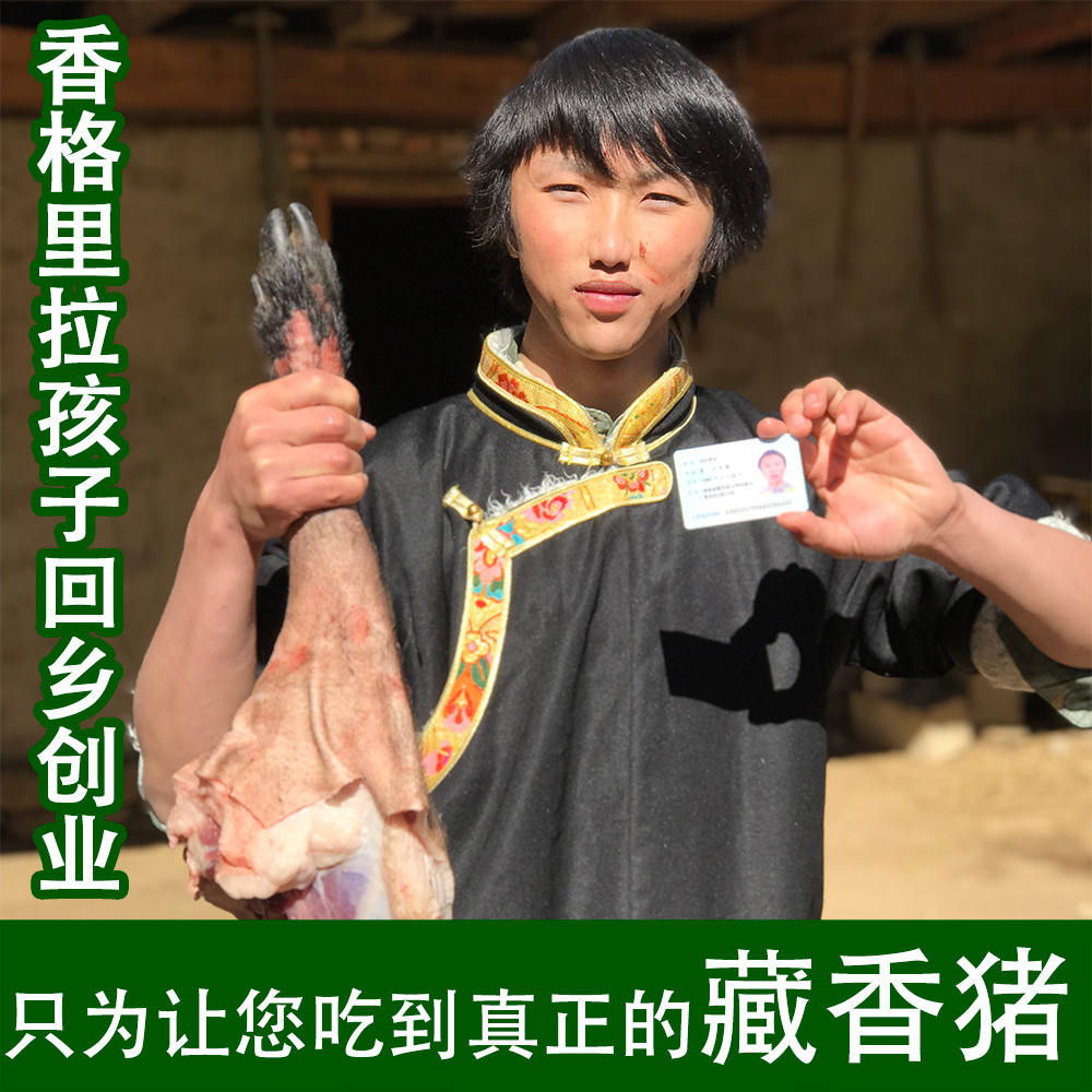 求购藏香猪肉-求购藏香猪肉厂家,品牌,图片,热帖-阿里巴巴