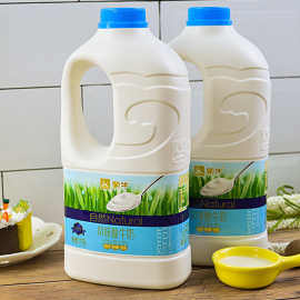 新日期 蒙牛酸奶1.1kg 原味大桶装酸牛奶 水果捞原料批发包邮
