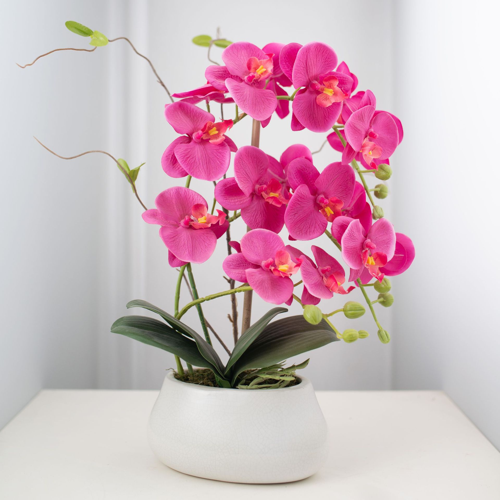 手感浸浆仿真花蝴蝶兰盆栽 陶瓷盆景装饰假花摆件 厂家直销批代发