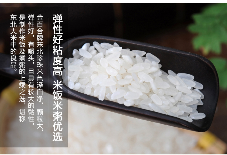 金百合 东北珍珠大米5kg/袋 家庭煮饭煮粥稀饭寿司饭卷品质生活
