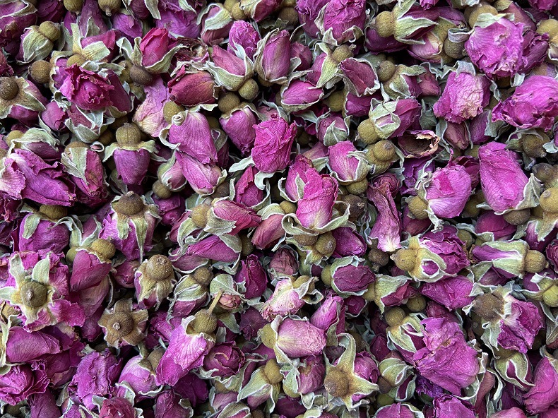 优质兰州苦水玫瑰玫瑰花茶甘肃兰州苦水小玫瑰 现货