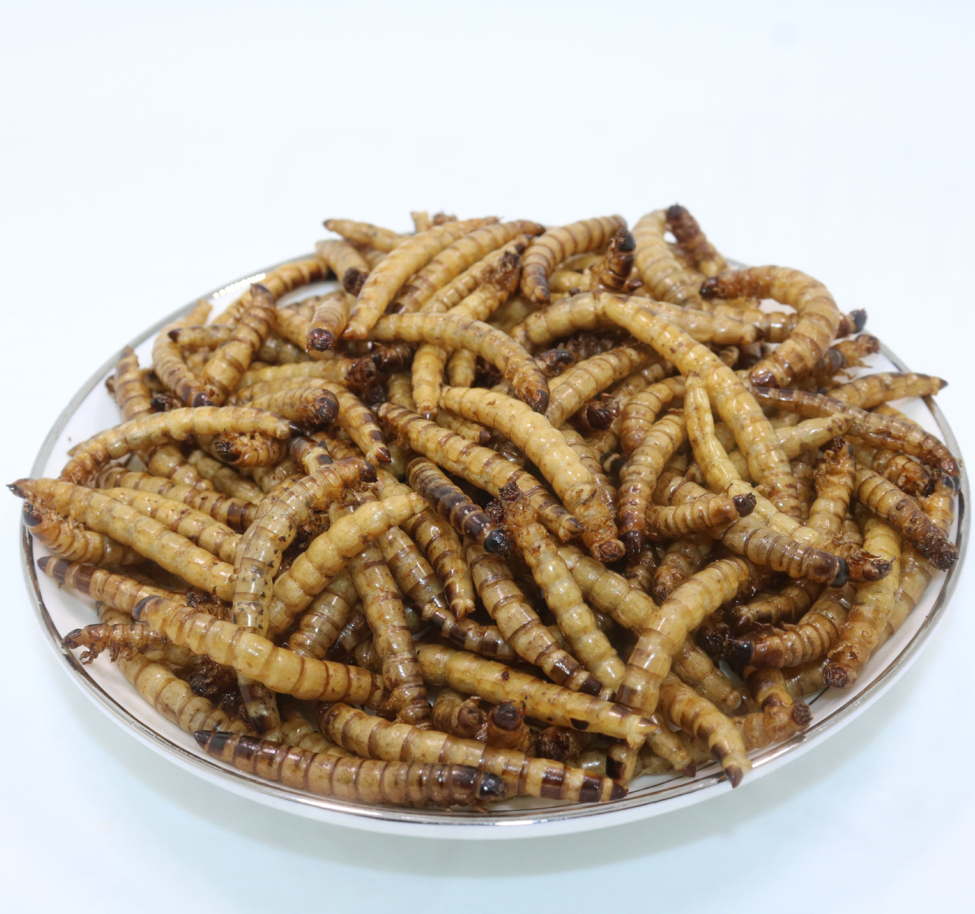 非活体罐装大麦虫干鹦鹉鸟粮食烘干大麦虫仓鼠乌龟小动物零食现货