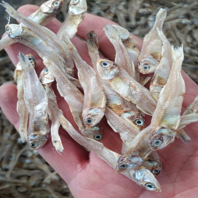 小公干鱼干货500克淡干海燕鱼海蜓鱼丁香鱼白帆鱼宠物猫鱼干