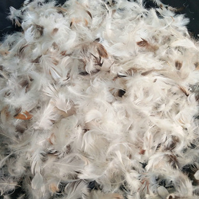 荐 水洗白鸭毛 水洗灰鹅绒 白鸭水洗白鸭毛小毛片 批发