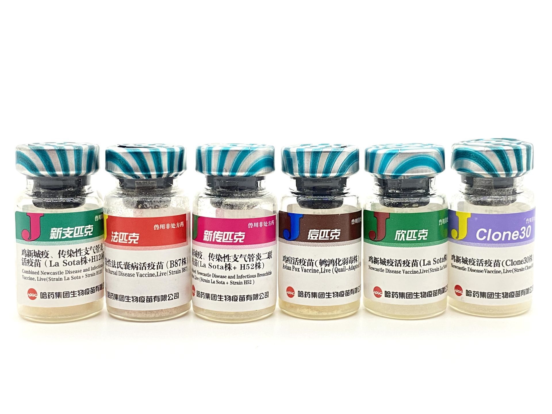 土鸡 鸡瘟h120h52法氏囊h52新城疫小鸡疫苗四 c30鸡痘禽药一套价