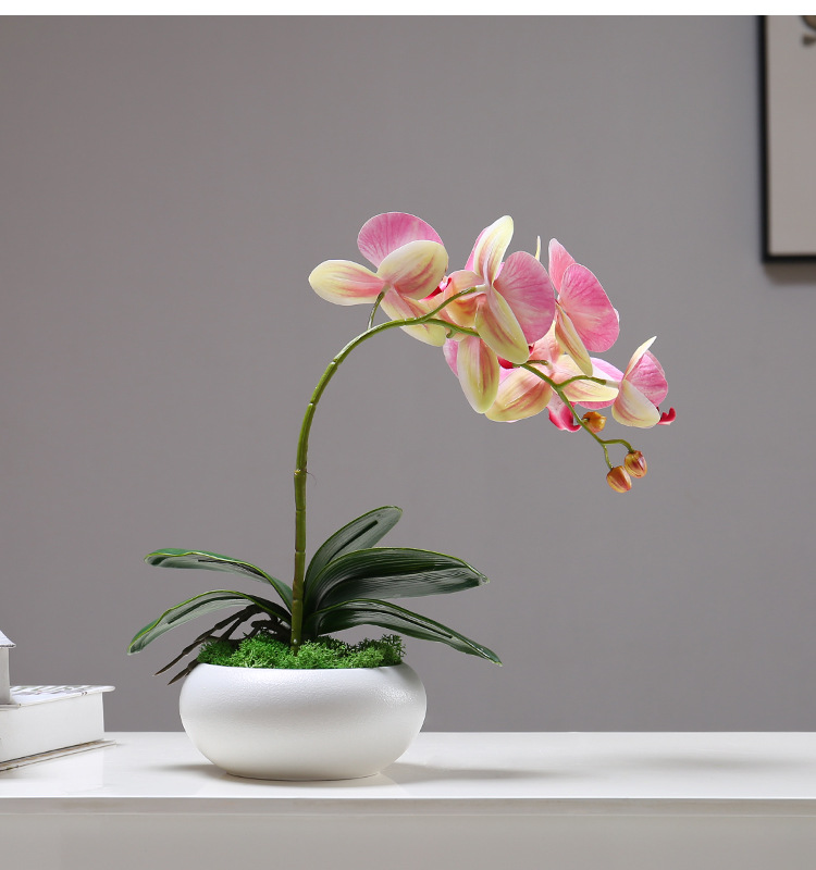 新中式蝴蝶兰仿真花摆件客厅餐桌茶几陶瓷盆栽假花艺创意装饰品