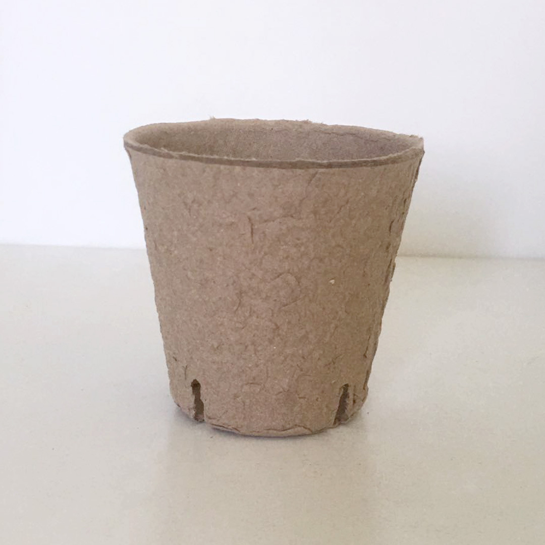 现货4孔8*8多肉花盆 纸浆育苗杯 可降解 花盘 塑料园艺多肉花盆