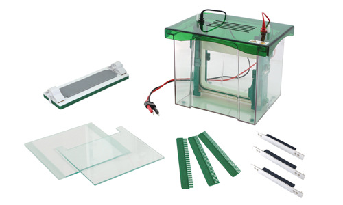 北京君意东方 jy-cz-bl型 双垂直电泳槽