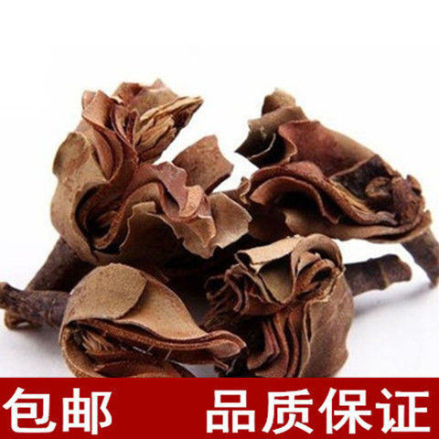 厚朴花 厚补花 花茶 调羹花 木兰