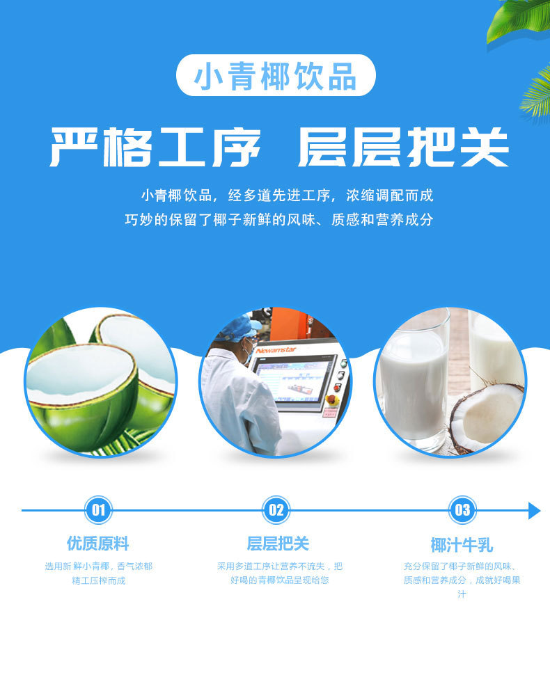 广州椰泰生物科技有限公司 380ml小青椰 4