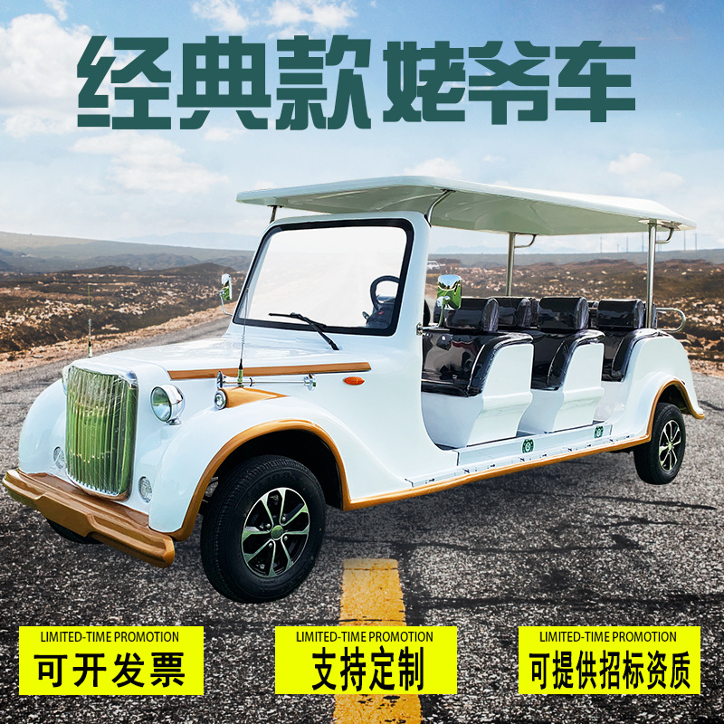 巡逻车新能源电动车四轮车景区旅游物业景区电动楼盘售楼处看房车