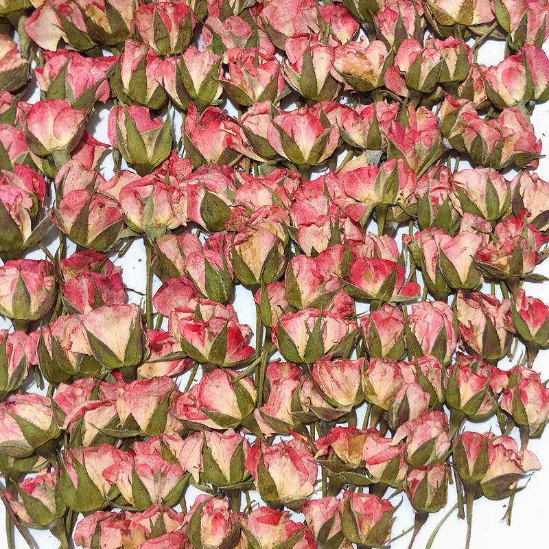 侧压带枝粉玫瑰/干花压花植物标本教学diy手工滴胶手机壳相框材料