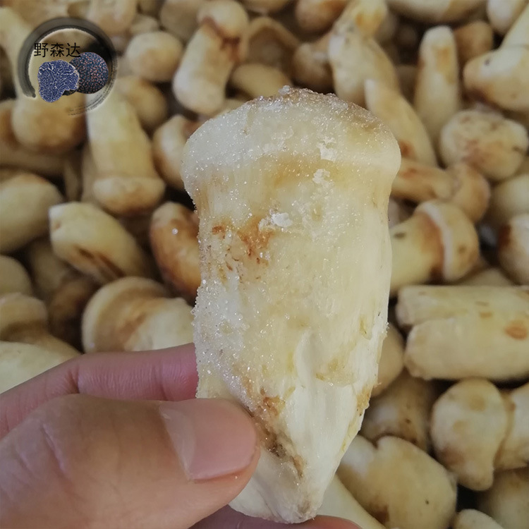 云南楚雄永仁特产餐饮生鲜兴农产品3-5cm冻松茸产地直发冰冻松茸