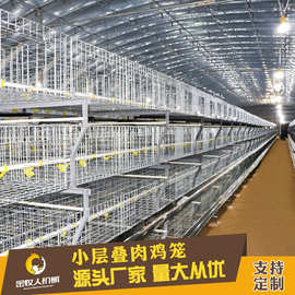 养殖层叠式肉鸡笼 三层养鸡设备 自动化养殖养鸡笼具厂家生产