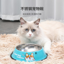 宠物用品批发不锈钢狗碗猫碗防打翻猫食盆猫盆狗粮碗外贸现货热销