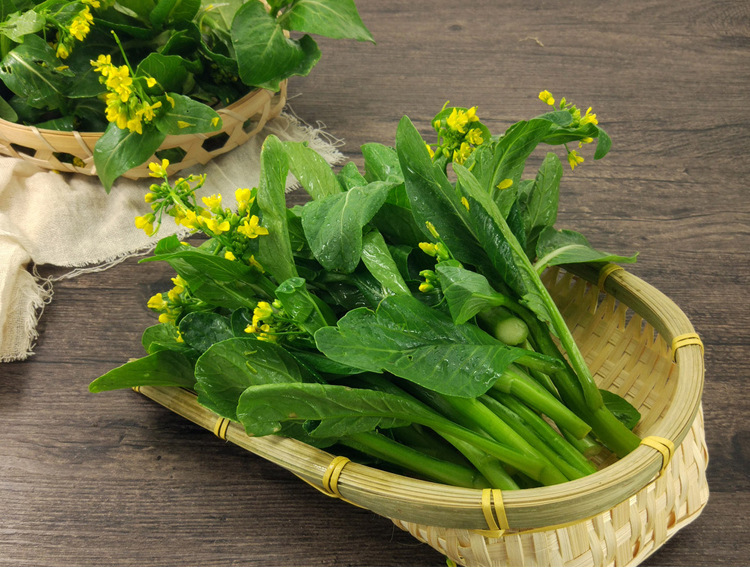 正源矮脚45天菜心种子种籽广东增城迟菜心青菜菜苔四季播四九蔬菜
