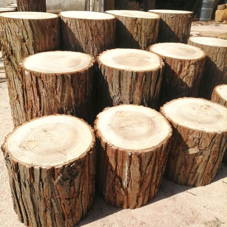 木桩杉木小树桩园艺木桩 婚庆木段 杉树摆件 围栏护栏装饰木树墩
