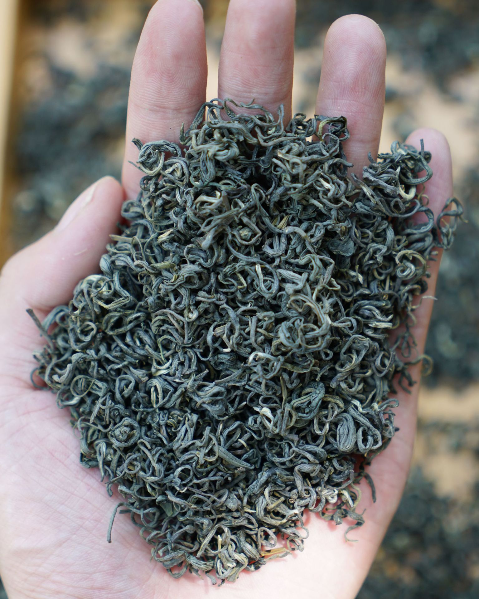 牧茗山2020浙江新绿茶高山茶松阳银猴香茶 茶叶批发