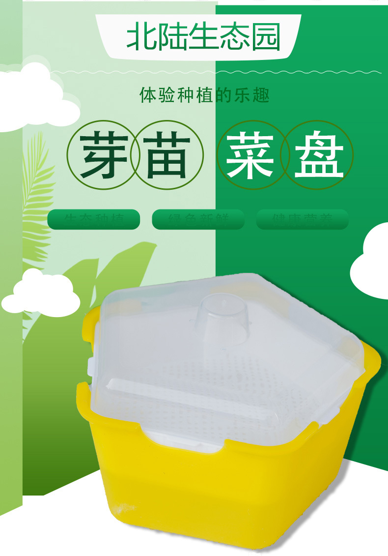 五角盒芽苗菜育苗盘多功能种植盒猫草种植盒儿童diy芽苗菜种植盒