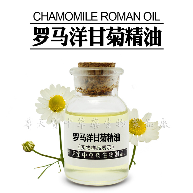 罗马洋甘菊精油 春黄菊油|8015-92-7|chamomile roman oil