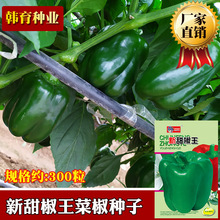 韩育甜椒王彩椒种子 农田菜地丰产蔬菜原厂包装易种植耐贮菜椒籽