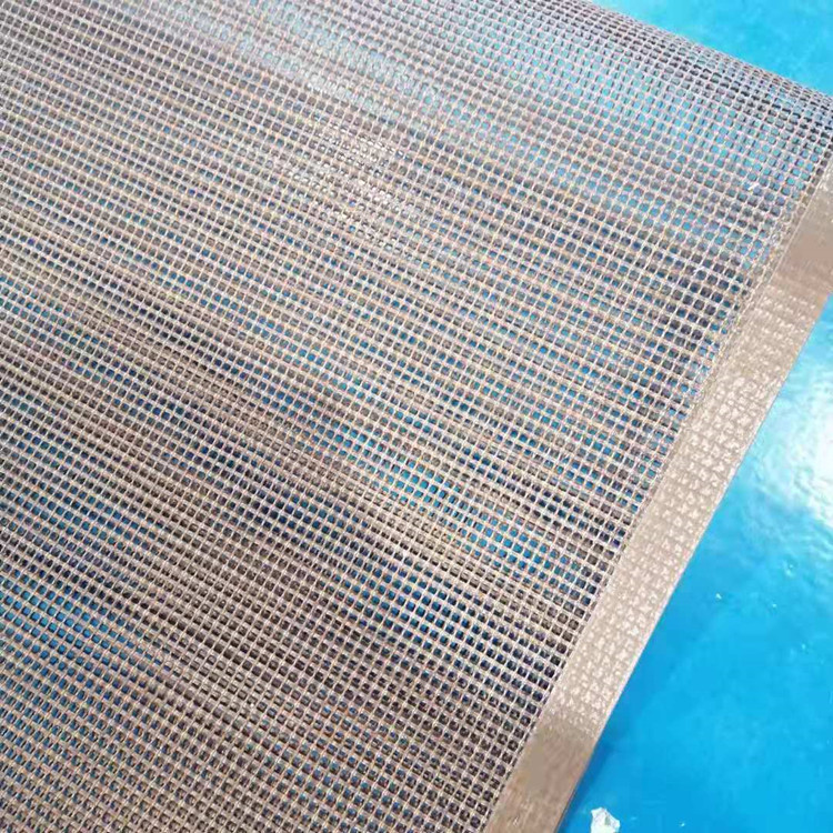 高温1*1网格茶叶输送带 多网孔规格定制 高温不沾好清洗尺寸稳定