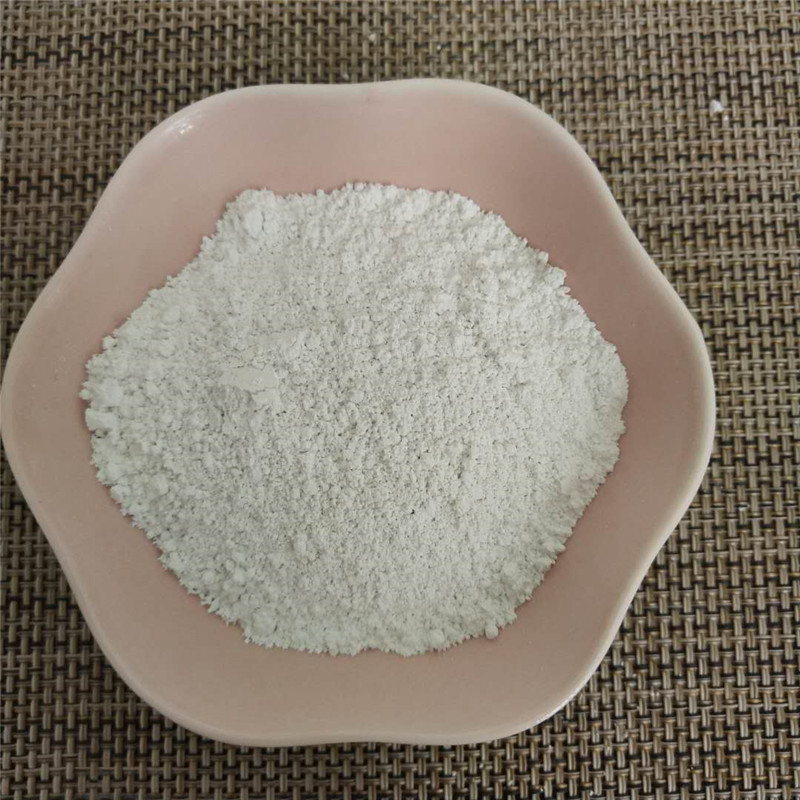 饲料级贝壳粉白色贝壳粉白度92煅烧贝壳粉