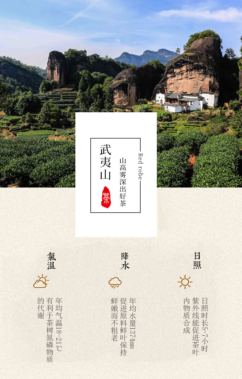 2021新品肉桂 武夷岩茶散装批发代发产地货源500g 桂皮香大红袍