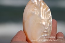 6-9厘米炫彩光泽珍珠蚌壳 天然贝壳海螺 地中海鱼缸家居装饰
