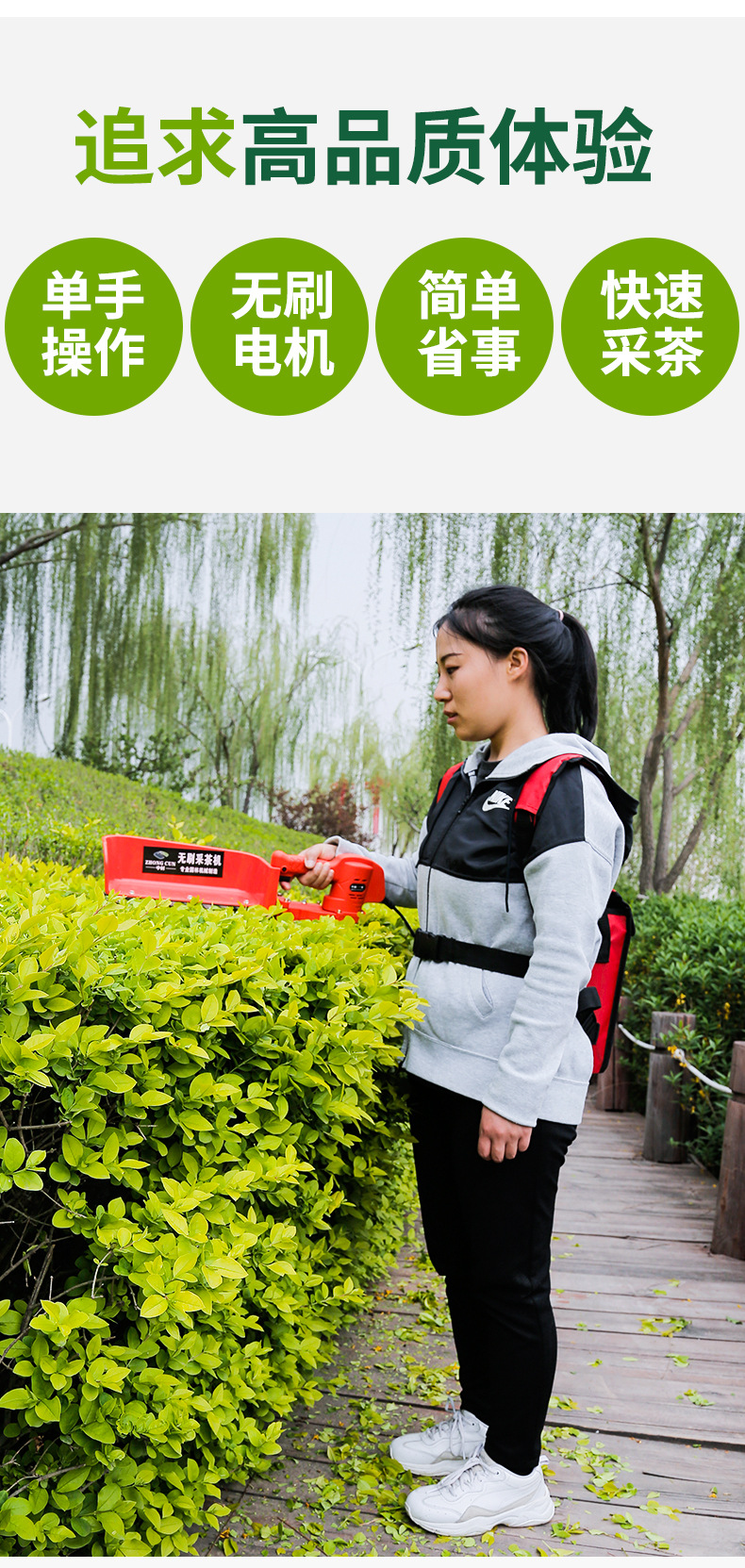 中村一郎无刷电动采茶机单人小型茶叶采摘机锂电茶叶收割机厂家