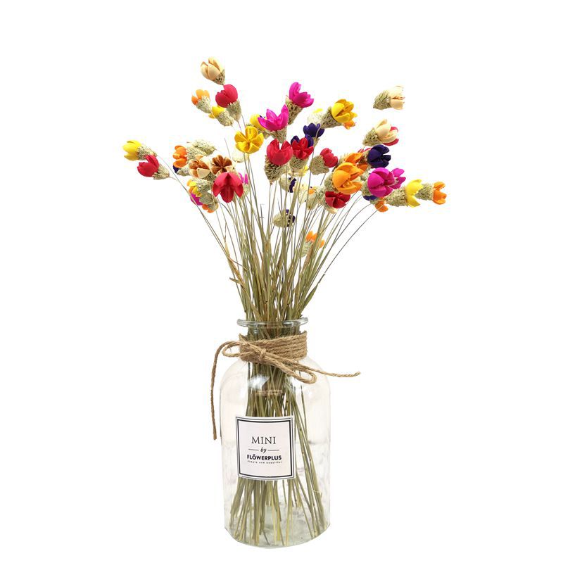 开心果干花花束十字果手工开口笑真花家居装饰拍照道具厂家批发