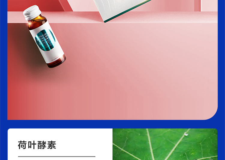 酵素口服液oem肠道助排益生菌果蔬汁发酵饮品孝素原液 贴牌代加工