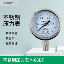 Y-60BF不锈钢压力表径向型0-40MPa真空表-0.1-2.4MPa STCIF压力计