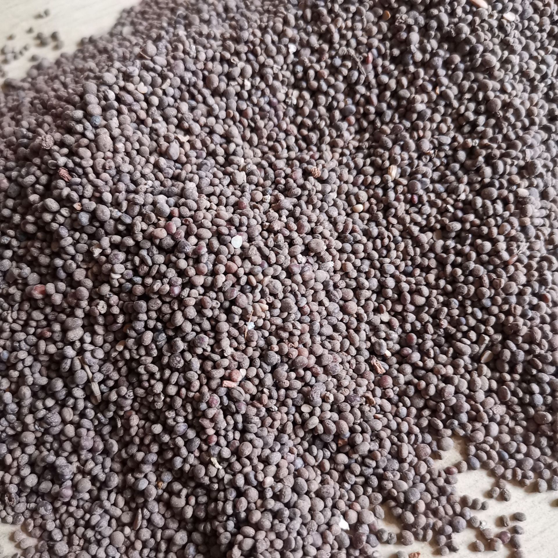 中药材 急性子 凤仙花种子