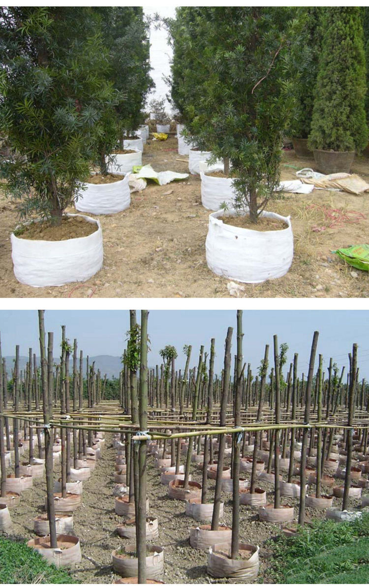 植树袋无纺布加厚美植袋白色种植袋育苗袋种树袋营养袋钵厂家直销