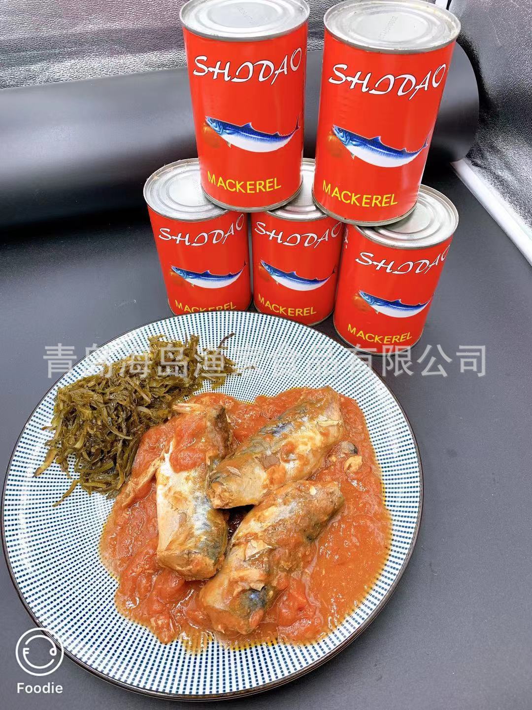 茄汁鲭鱼罐头熟食深海即食下饭番茄鱼海鲜鱼肉罐头整鱼大块口味好
