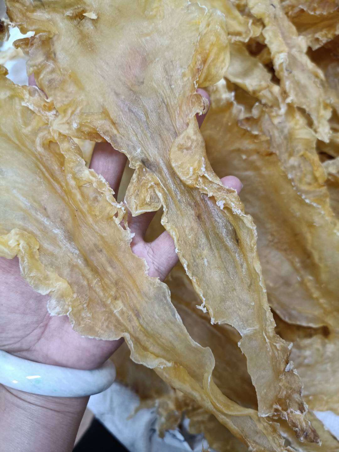 厂家直销一德路鱼肚黄花胶海味干货15-18厚肉鳕鱼胶原蛋白多规格