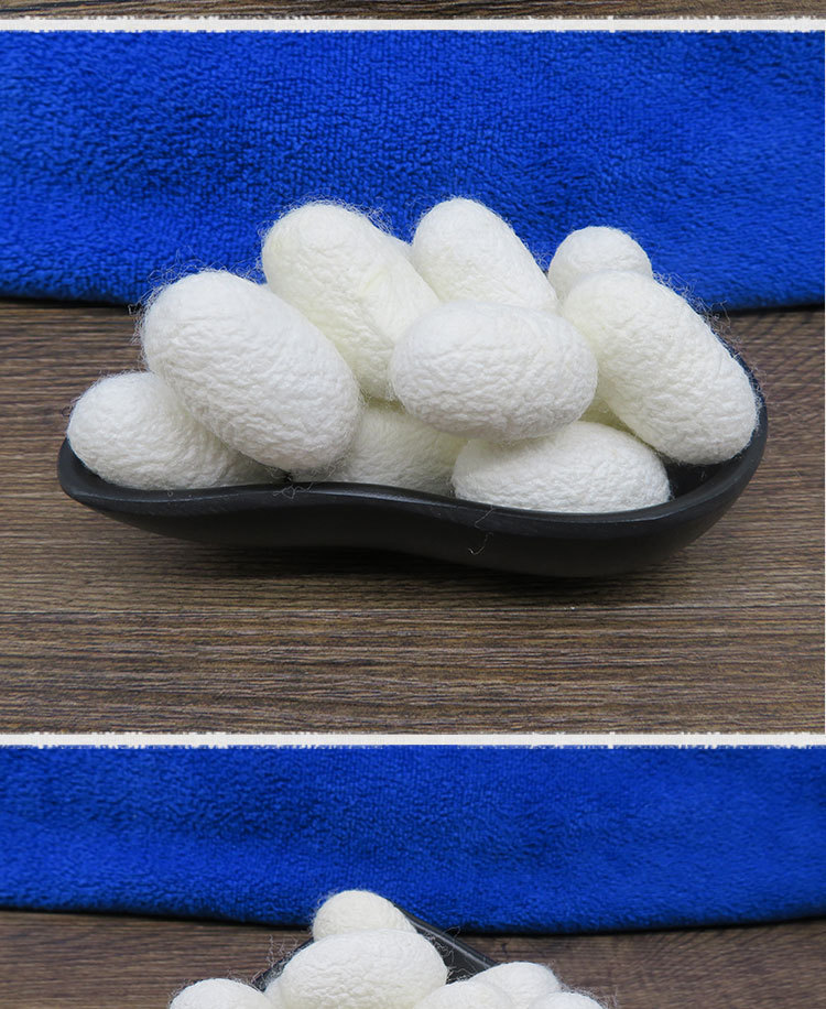 蚕茧 带蛹蚕茧 蚕衣 单宫蚕茧壳另有蚕衣壳原产地发货500g