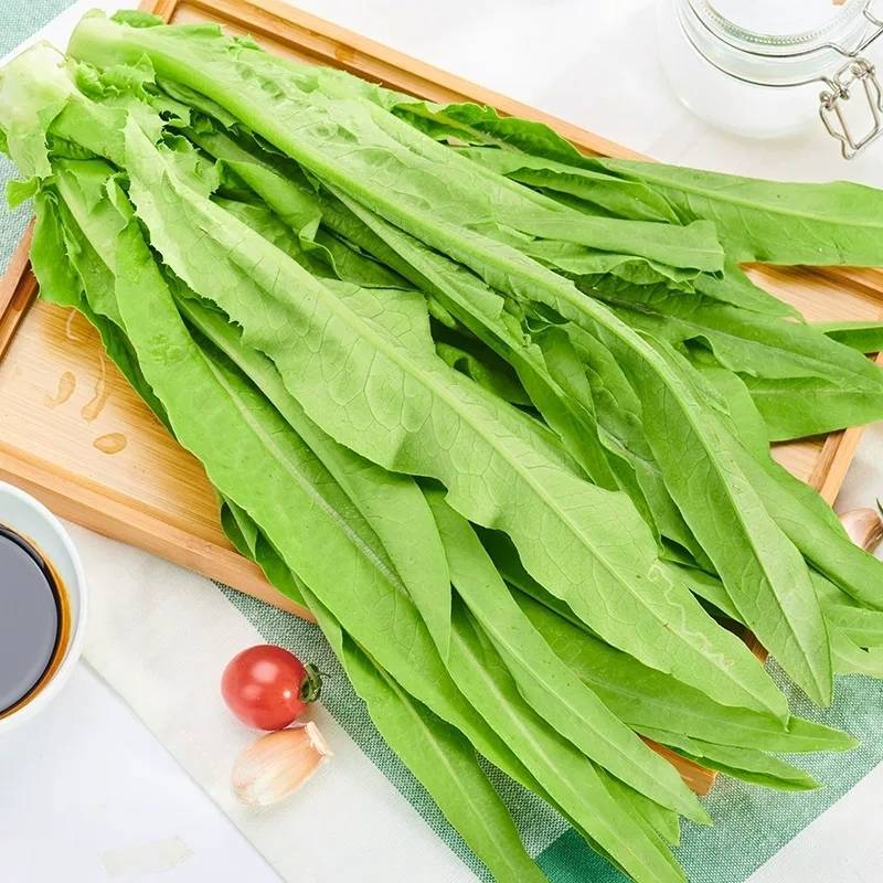 5斤(净4.5斤)包邮 云南新鲜油麦菜叶苗新鲜蔬菜牛利生菜青菜