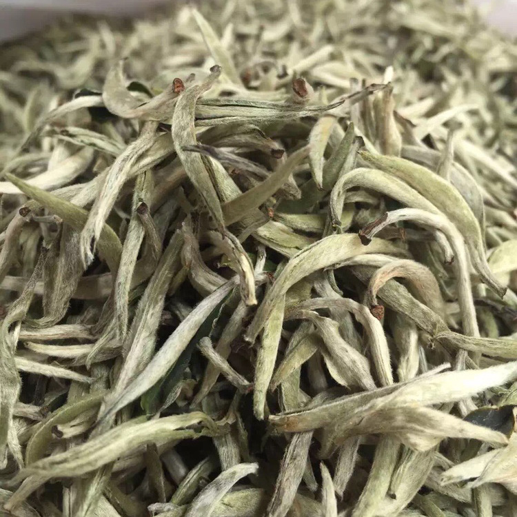 月光白茶 古树白毫银针2020年普洱生茶单芽357克香甜鲜爽润雅白茶