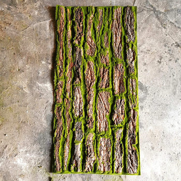 厂家批发 真苔藓树皮 青苔草皮 植物墙橱窗婚庆盆景盆栽 景区造景